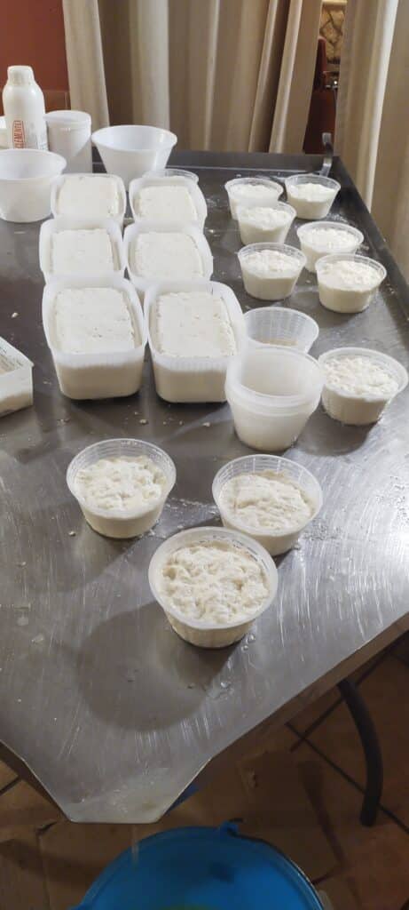 Il primo sale e la ricotta